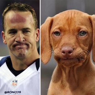peyton-dog-face.jpg
